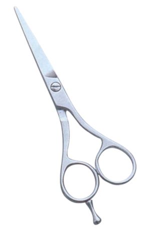 Barber & Dressing Scissors 